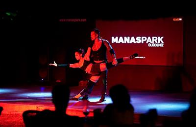 Manaspark Deluxe Hotel